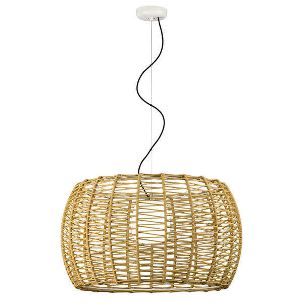 ODIP29830-75