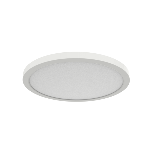 506125-cct_anna_1.600.png