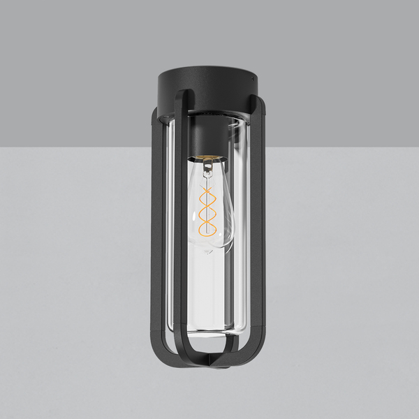 vega-p2079080gr-00.600.jpg